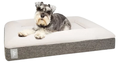 Orthopedic Dog Bed By Fur King (Personalised Optional)